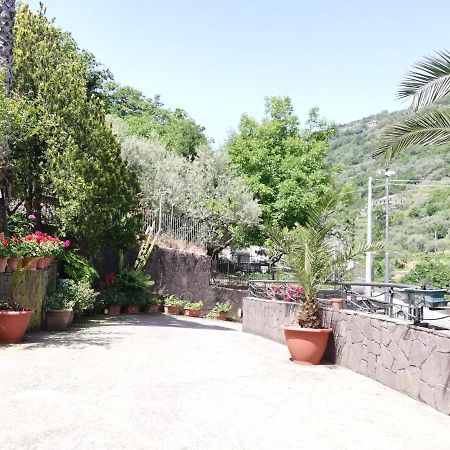 IL GIARDINO  Bed and Breakfast Pimonte Esterno foto