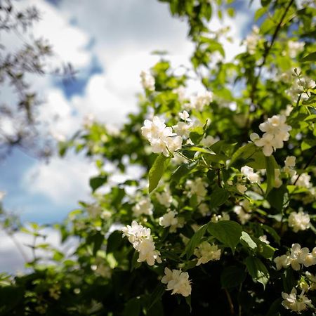 IL GIARDINO  Bed and Breakfast Pimonte Esterno foto