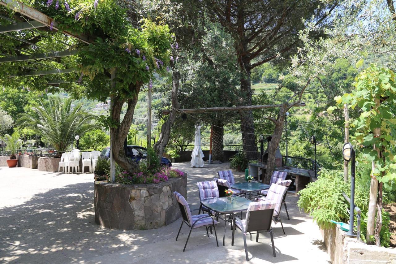 IL GIARDINO  Bed and Breakfast Pimonte Esterno foto