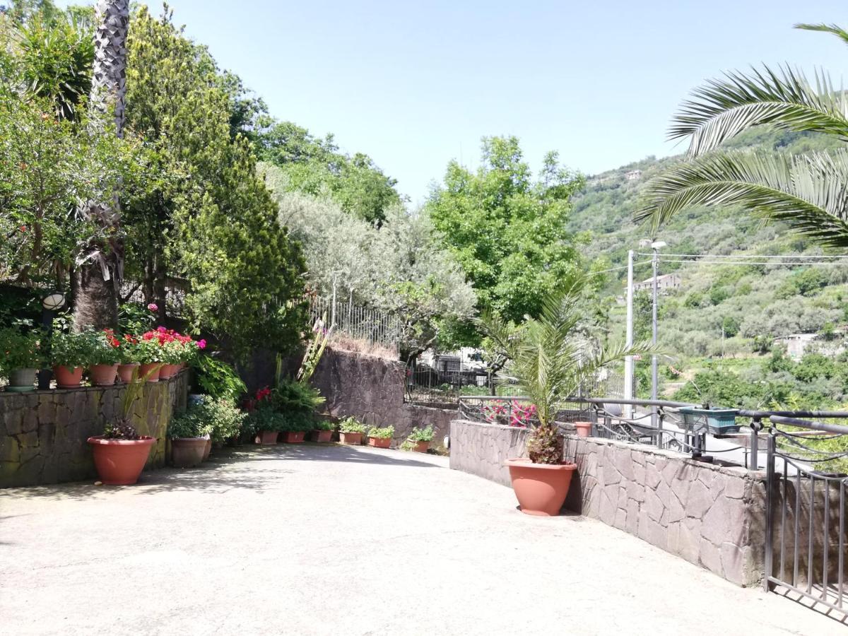 IL GIARDINO  Bed and Breakfast Pimonte Esterno foto