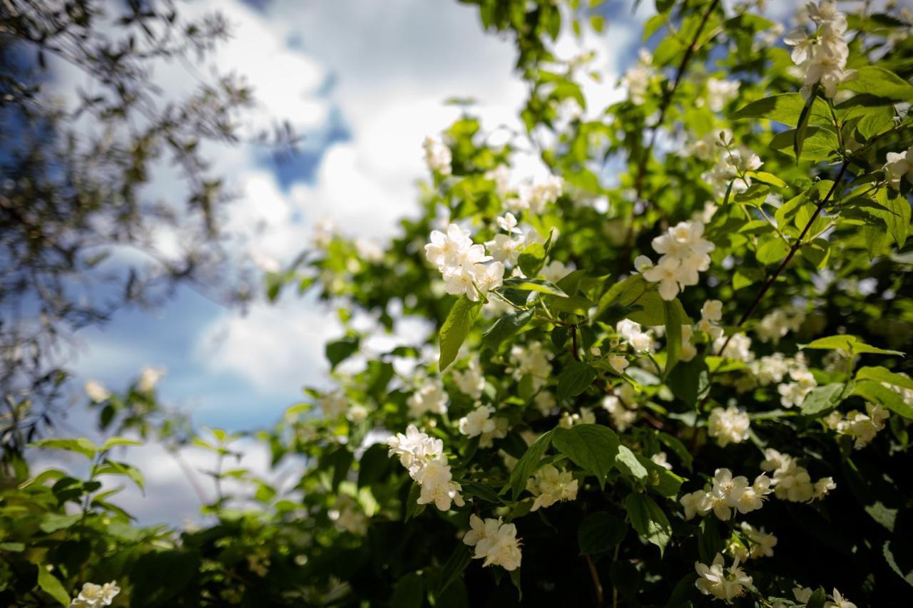 IL GIARDINO  Bed and Breakfast Pimonte Esterno foto